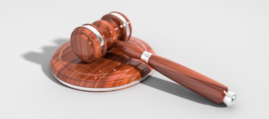 L'evoluzione giurisprudenziale e di prassi del concetto di controllo pubblico 